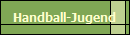 Handball-Jugend