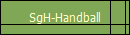 SgH-Handball